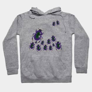 Scarab beetles assemble! Hoodie